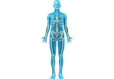 What is General Orthopedics?