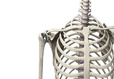 Outpatient Joint Replacement